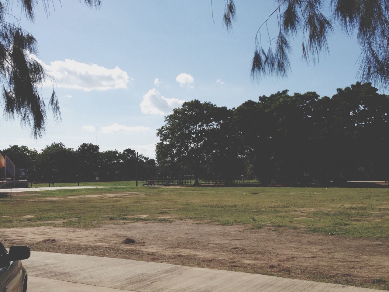 tree, sky, grass, shadow, landscape, field, growth, tranquility, sunlight, tranquil scene, nature, road, park - man made space, outdoors, day, incidental people, footpath, cloud - sky, scenics