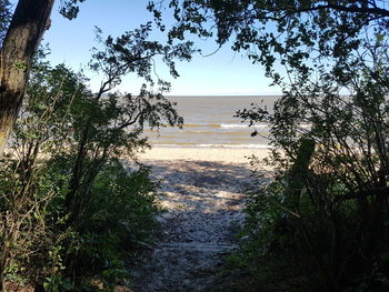 Scenic view of sea against clear sky