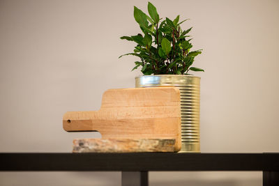 Close-up of plant on table