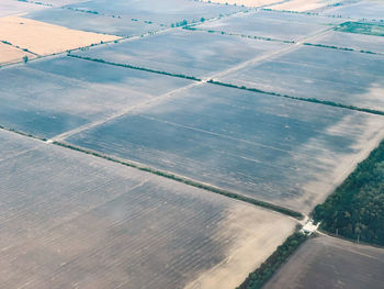 High angle view of agricultural field