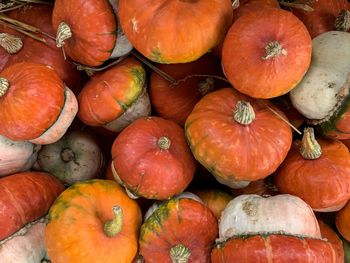 High angle view of pumpkins for sale in market