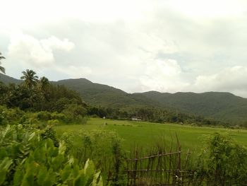 Scenic view of field against sky