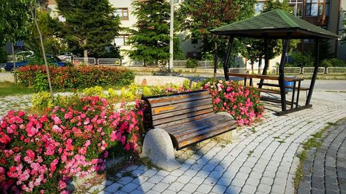 Chairs and plants in park