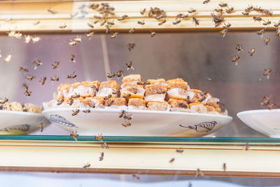 Close-up of ice cream for sale in store