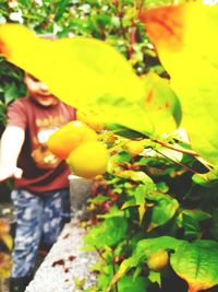 Midsection of man holding fruit