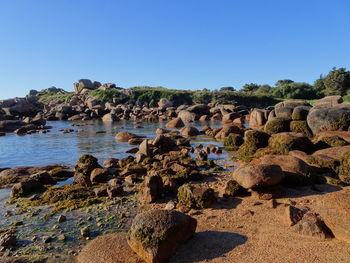 Rocks on beach against clear blue sky