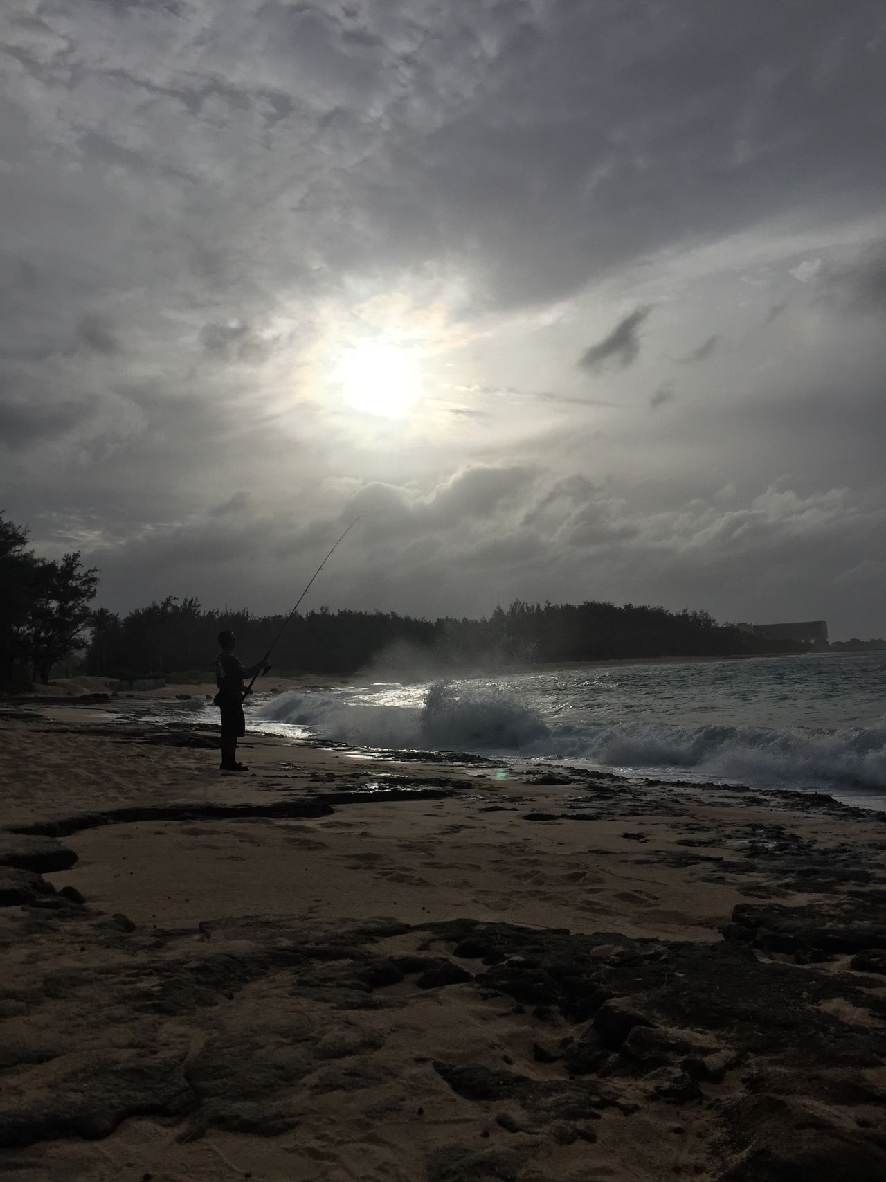 Turtle bay oahu hawaii