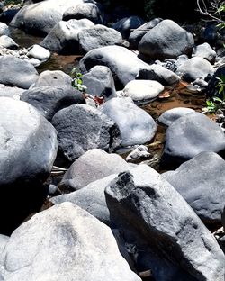 High angle view of stones on beach