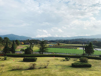 Scenic view of field against sky
