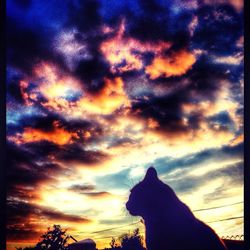 Low angle view of cloudy sky at sunset