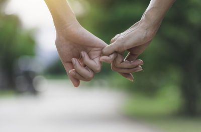 Close-up of hands holding leaf