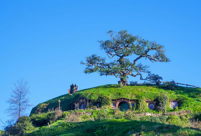 Tree on field against clear blue sky