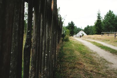 Panoramic shot of trees on field against sky