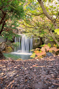 Scenic view of waterfall