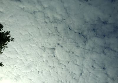 Low angle view of white wall against blue sky