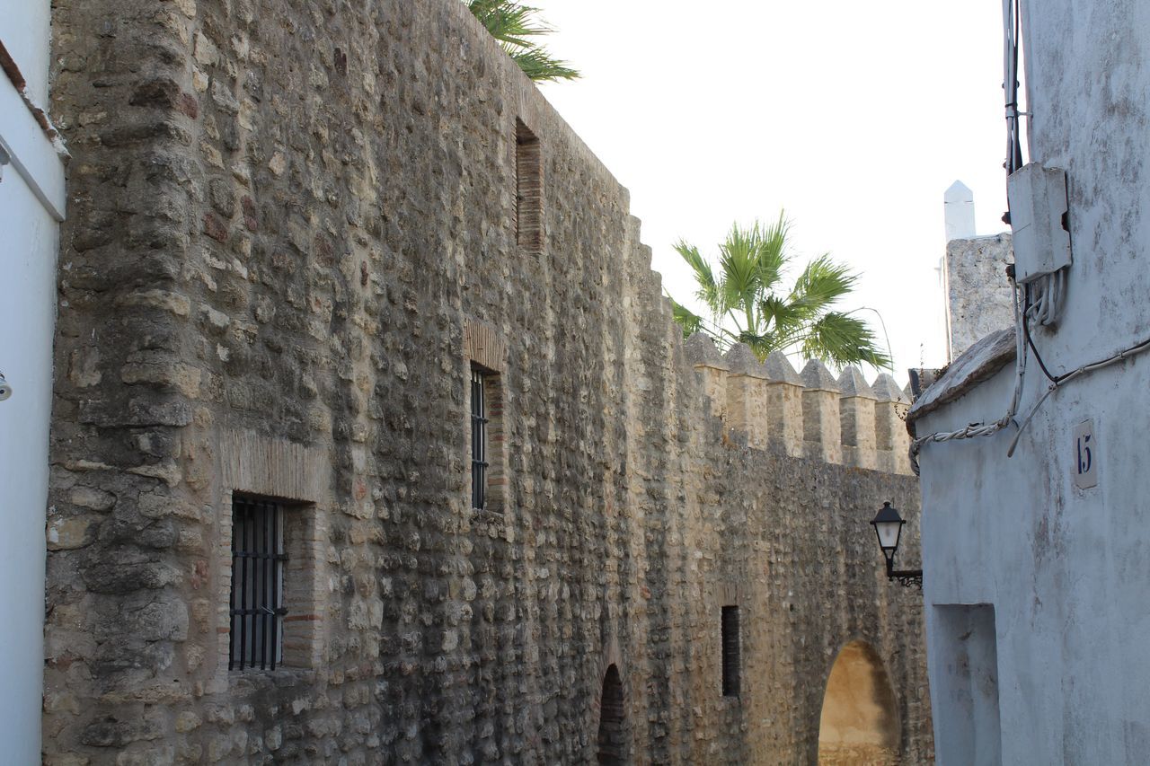 architecture, built structure, building exterior, sky, low angle view, building, no people, day, nature, old, window, wall - building feature, wall, the past, history, tree, outdoors, plant, clear sky, city, stone wall