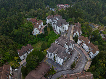 Aerial view of greenery highland with apartments in fraser's hill, pahang, malaysia.