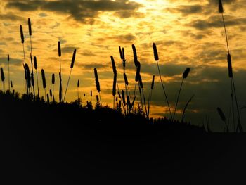 Scenic view of sky at sunset