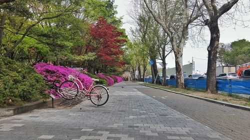 Bicycle by tree in park against sky