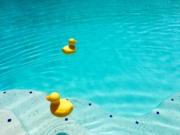 High angle view of toys floating on water