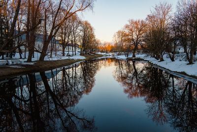 Reflection of trees in lake