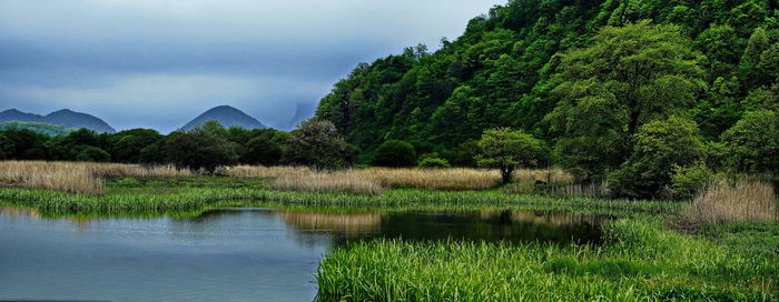 Scenic view of lake by trees against sky