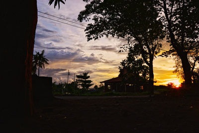 Silhouette trees against sky during sunset