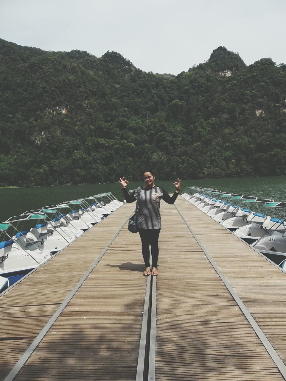 lifestyles, full length, leisure activity, casual clothing, tree, railing, water, rear view, wood - material, clear sky, pier, day, standing, nature, the way forward, sky, mountain, walking