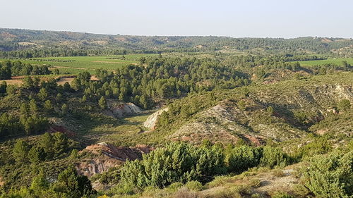 High angle view of trees on landscape against sky