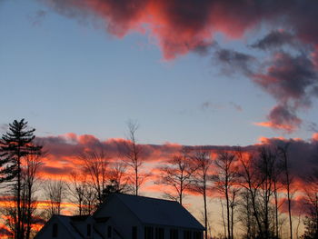 Silhouette trees against sky at sunset