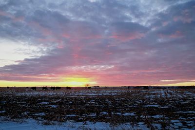 Scenic view of field against sky during sunset