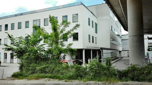 Houses and trees in city against sky