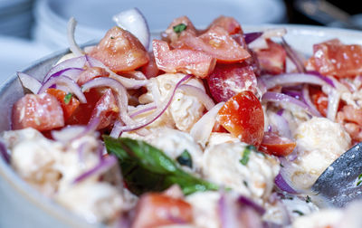 Close-up of chopped fruit salad in plate