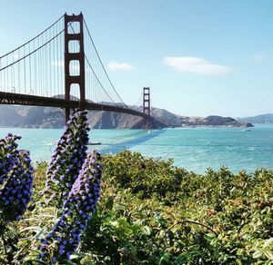 Suspension bridge over river