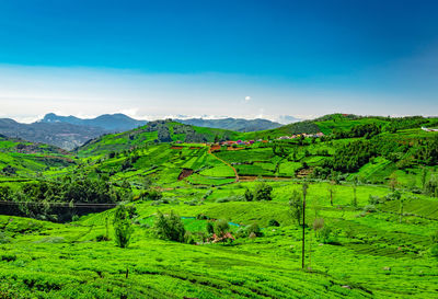 Green mountains with bright blue sky at morning