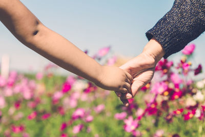 Cropped image of couple holding hands while walking by flowering plants