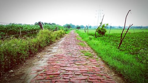 Pathway leading to field