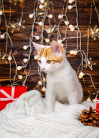 White cat playing with garland and gift box under christmas tree