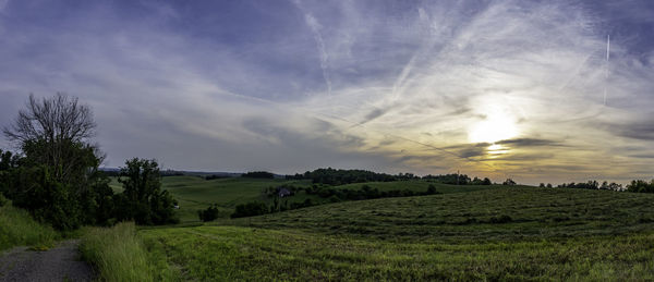 Scenic view of agricultural field against sky