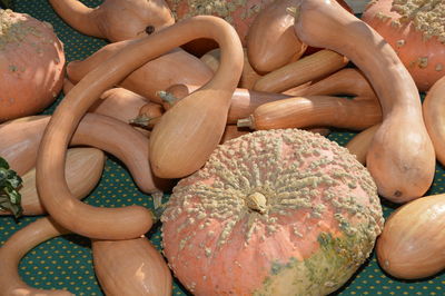 High angle view of pumpkins for sale at market