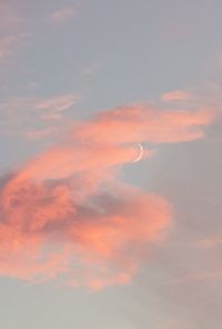 Low angle view of orange sky