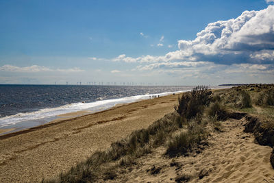 Sunny day in norfolk