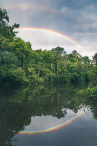 Scenic view of lake by trees against sky