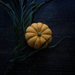 Close-up of pumpkin on table during autumn