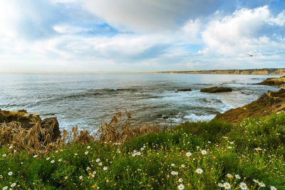 Scenic view of sea against sky