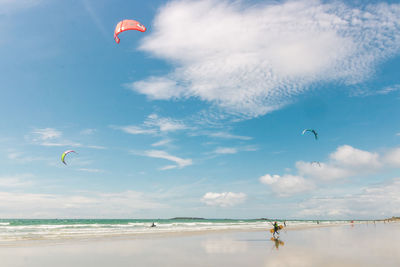 Kite surfer on a beach in brittany in france in summer