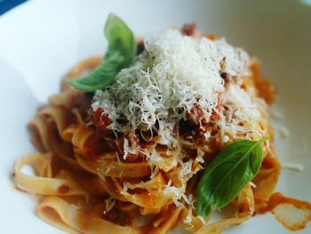 Close-up of fettuccine pasta garnished with grated cheese