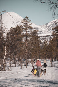 Rear view of people dogsledding on snow covered land