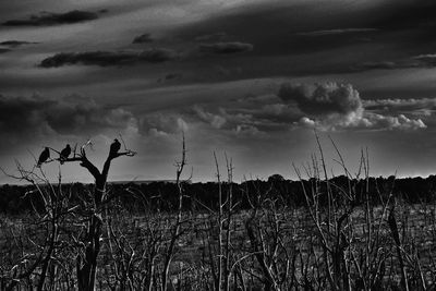 Scenic view of field against cloudy sky