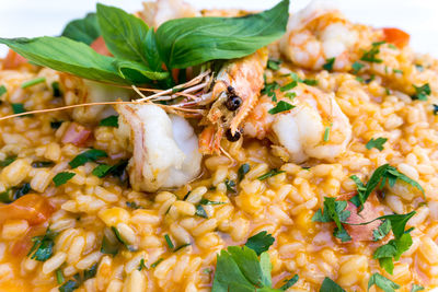 Close-up of prawns risotto